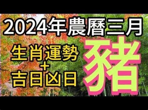 張古柏命理|【古柏論命每月運勢+吉日凶日】2024年農曆九月 (陽曆2024。